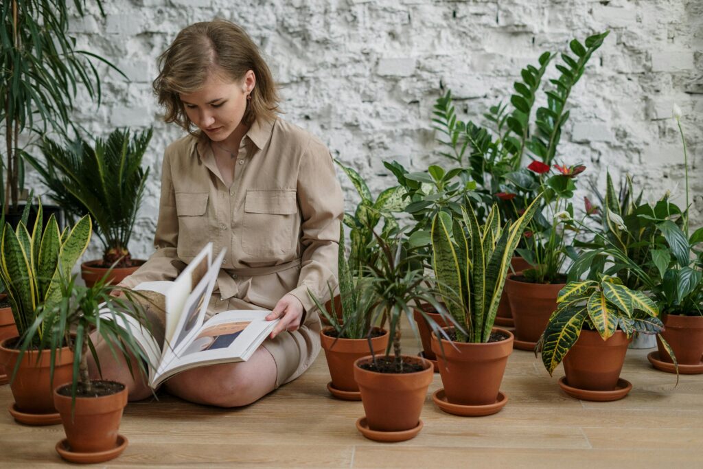 Green Home: 5 Tips To Make for a Earth-Friendly Shelter