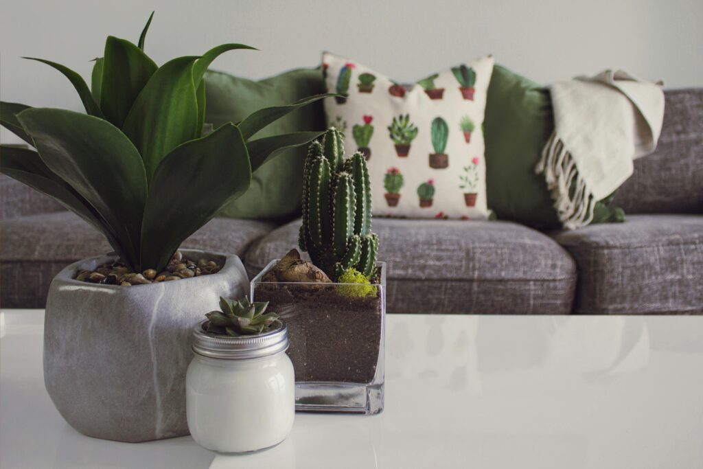 How To Design a Greener Better Home in 2025